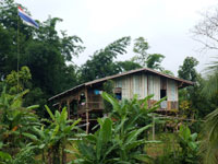 Tigerland Rice Farmer's Lodge