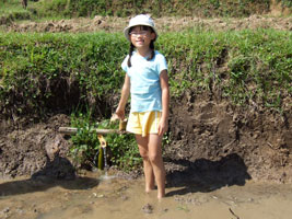 Robyn wading in the paddy
