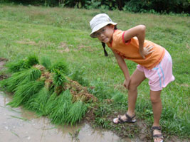 Robyn at the rice sapling nursery