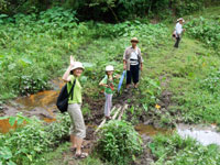 Trekking in farm country of Chiang Rai