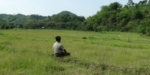 Meditation in the rice paddy
