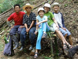 The bamboo family