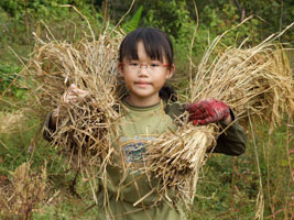 Robyn and rice stalks