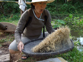 Jin trying her hands at sieving rice