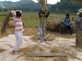 Robyn and Brenda threshing rice