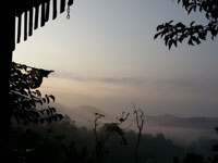 Dusk at Tigerland Rice Farm