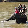 Elephant ride