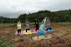 Yoga with Kym at Tigerland Rice Farm
