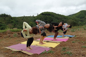 Yoga with Kym at Tigerland Rice Farm