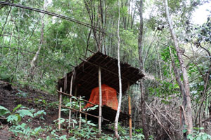 Meditation hut in Bamboo Forest at Tigerland Rice Farm