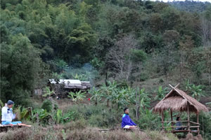 Meditation @ Paddy